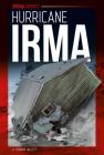 Hurricane Irma (Special Reports Set 3) By Edward Willett Cover Image