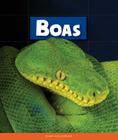 Boas (Animals of the Rain Forest) By Mary Ann McDonald Cover Image