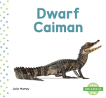 Dwarf Caiman (Mini Animals) By Julie Murray Cover Image