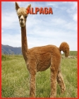 Alpaga: Livre pour Enfants Images & Informations Etonnantes Concernant les Alpaga By Sue Anthony Cover Image