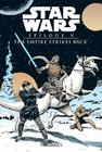 Episode V: Empire Strikes Back Vol. 1 (Star Wars) By Archie Goodwin, Al Williamson (Illustrator) Cover Image