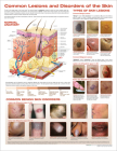 Common Lesions and Disorders of the Skin Anatomical Chart Cover Image