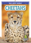 Cheetahs By Colton Temple Cover Image