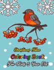 Christmas Time Coloring Book For Kids 5 Year Old: A Festive Coloring Book Featuring Beautiful Winter Landscapes and Heart Warming Holiday Scenes for S By Sfaxino Books Publishing Cover Image