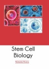 Stem Cell Biology By Natasha Rivera (Editor) Cover Image