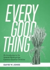 Every Good Thing: An Introduction to the Material World and the Common Good for Christians By David W. Jones Cover Image