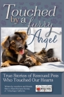 Touched By A Furry Angel By Chelley Kitzmiller Cover Image