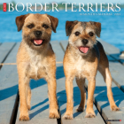 Just Border Terriers 2023 Wall Calendar By Willow Creek Press Cover Image