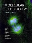 Molecular Cell Biology Cover Image