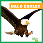 Bald Eagles By Rachel Grack Cover Image