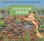 A Place for Frogs (A Place For. . . #3) By Melissa Stewart, Higgins Bond (Illustrator) Cover Image