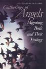 Gatherings of Angels: Migrating Birds and Their Ecology (Comstock Book) By Kenneth P. Able (Editor) Cover Image