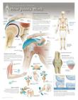 How Joints Work Wall Chart: 8101 Cover Image