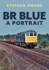 BR Blue: A Portrait By Stephen Owens Cover Image