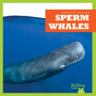 Sperm Whales By Katie Chanez, N/A (Illustrator) Cover Image