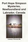 Port Hope Simpson Mysteries, Newfoundland and Labrador, Canada: Oral History Evidence and Interpretation Cover Image