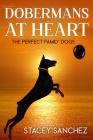 Dobermans at Heart By Stacey Sanchez Cover Image