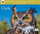 Owls WWF 2022 Wall Calendar Cover Image