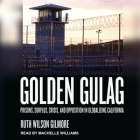 Golden Gulag Lib/E: Prisons, Surplus, Crisis, and Opposition in Globalizing California Cover Image