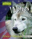 Gray Wolves: Return to Yellowstone (America's Animal Comebacks) Cover Image