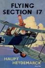 Flying Section 17 By Haupt Heydemarck Cover Image