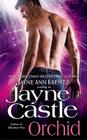 Orchid By Jayne Castle Cover Image