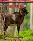 Mufflon: Lustige Fakten und sagenhafte Fotos By Jeanne Sorey Cover Image