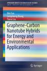 Graphene-Carbon Nanotube Hybrids for Energy and Environmental Applications Cover Image