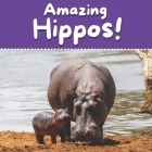 Amazing Hippos! By Birchall Publishing Cover Image