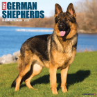 Just German Shepherds 2023 Wall Calendar By Willow Creek Press Cover Image