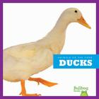 Ducks (Animals on the Farm) By Wendy Strobel Dieker Cover Image