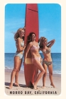 The Vintage Journal Sixties Surfer Girls, Morro Bay, California Cover Image