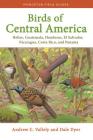 Birds of Central America: Belize, Guatemala, Honduras, El Salvador, Nicaragua, Costa Rica, and Panama (Princeton Field Guides #136) Cover Image