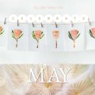 Celebrate May: 31-Days of holidays, celebrations, and educational lessons! By Kristin Williams Tokic Cover Image