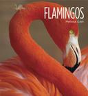 Living Wild: Flamingos By Melissa Gish Cover Image