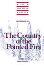 New Essays on the Country of the Pointed Firs (American Novel) By June Howard (Editor) Cover Image