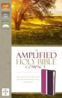 Amplified Holy Bible, Compact: Captures the Full Meaning Behind the Original Greek and Hebrew Cover Image