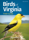 Birds of Virginia Field Guide (Bird Identification Guides) By Stan Tekiela Cover Image