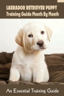 Labrador Retriever Puppy Training Guide Month By Month: An Essential Training Guide: How To Use Different Commands With Labrador Cover Image