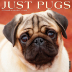 Just Pugs 2024 12 X 12 Wall Calendar By Willow Creek Press Cover Image