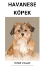 Havanese Köpek By Yusuf Yilmaz Cover Image