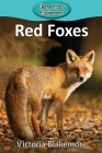 Red Foxes (Elementary Explorers #61) Cover Image