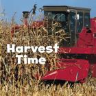 Harvest Time (Celebrate Fall) By Erika L. Shores Cover Image