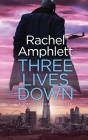 Three Lives Down: A Dan Taylor thriller Cover Image