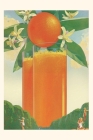 Vintage Journal Giant Orange Juice, Orchard By Found Image Press (Producer) Cover Image