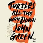 Turtles All the Way Down Cover Image