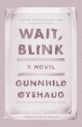 Wait, Blink: A Perfect Picture of Inner Life: A Novel Cover Image