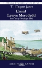 Enaid Lewys Meredydd: Stori am y Flwyddyn 2002 Cover Image