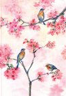 Cherry Blossoms in Spring Journal By Lauren Wan (Illustrator) Cover Image