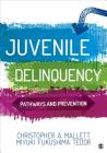 Juvenile Delinquency: Pathways and Prevention By Christopher A. Mallett, Miyuki Fukushima Tedor Cover Image